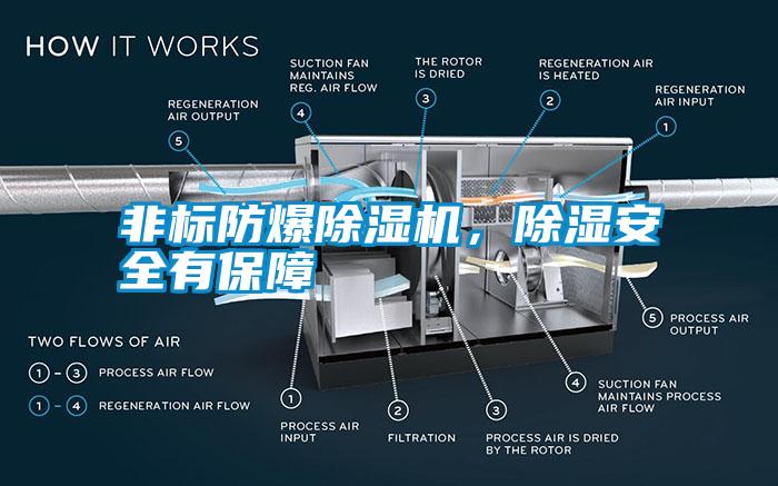 非標(biāo)防爆除濕機(jī)<div   id=