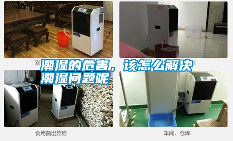 潮濕的危害<div   id=