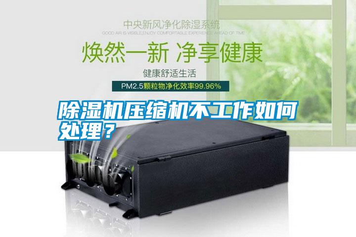 除濕機壓縮機不工作如何處理<div   id=