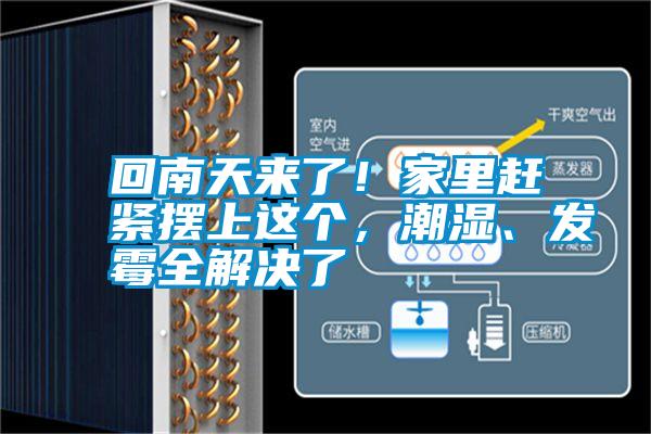 回南天來了！家里趕緊擺上這個<div   id=
