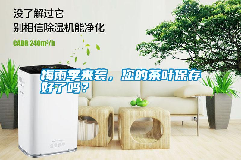梅雨季來襲<div   id=