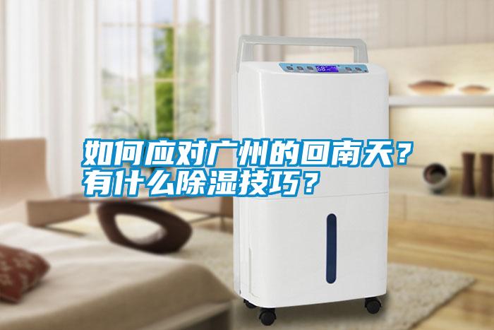 如何應(yīng)對廣州的回南天？有什么除濕技巧<div   id=