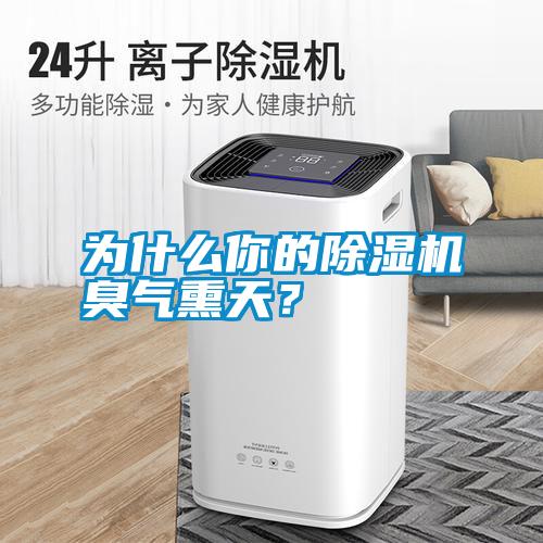 為什么你的除濕機臭氣熏天<div   id=