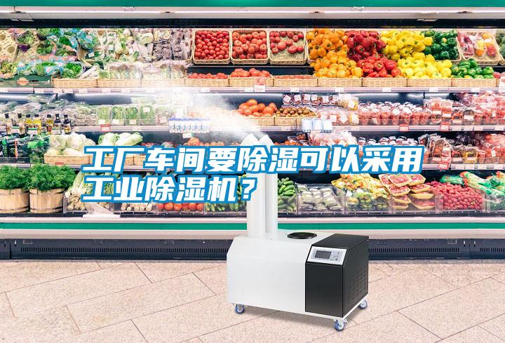 工廠車間要除濕可以采用工業(yè)除濕機<div   id=