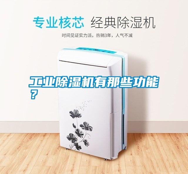 工業(yè)除濕機(jī)有那些功能<div   id=