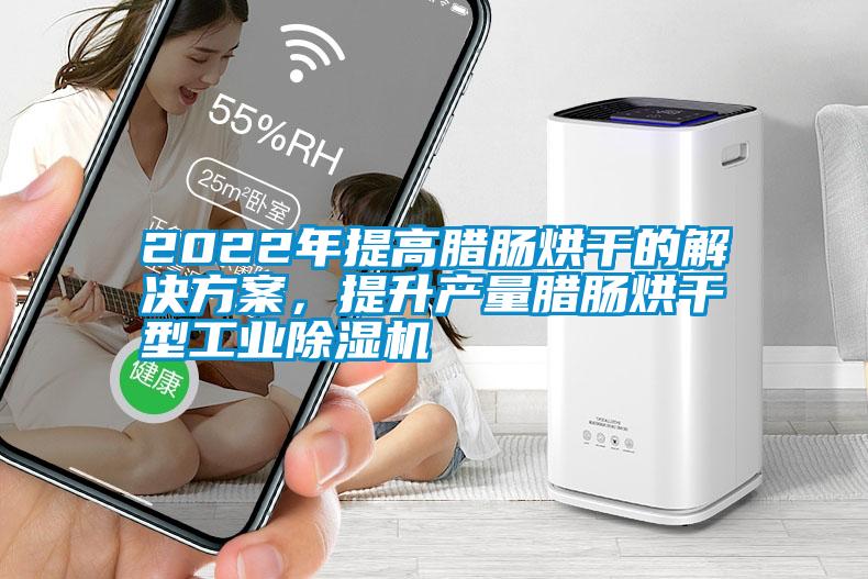 2022年提高臘腸烘干的解決方案<div   id=