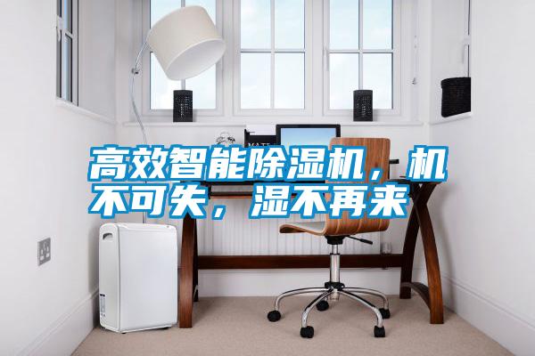 高效智能除濕機(jī)<div   id=