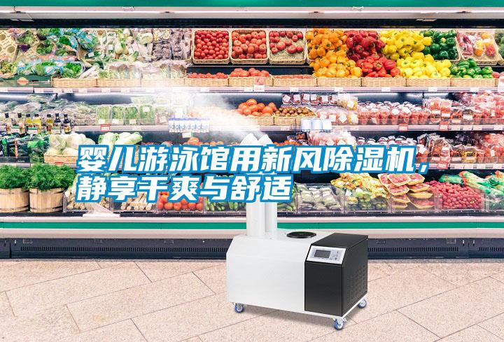 嬰兒游泳館用新風(fēng)除濕機<div   id=