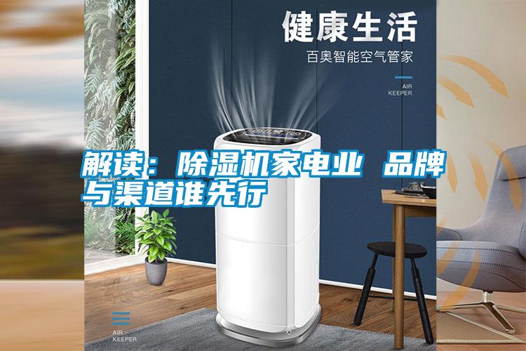 解讀:除濕機家電業(yè) 品牌與渠道誰先行
