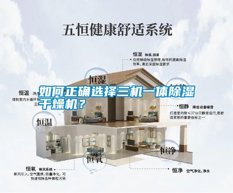 如何正確選擇三機一體除濕干燥機<div   id=