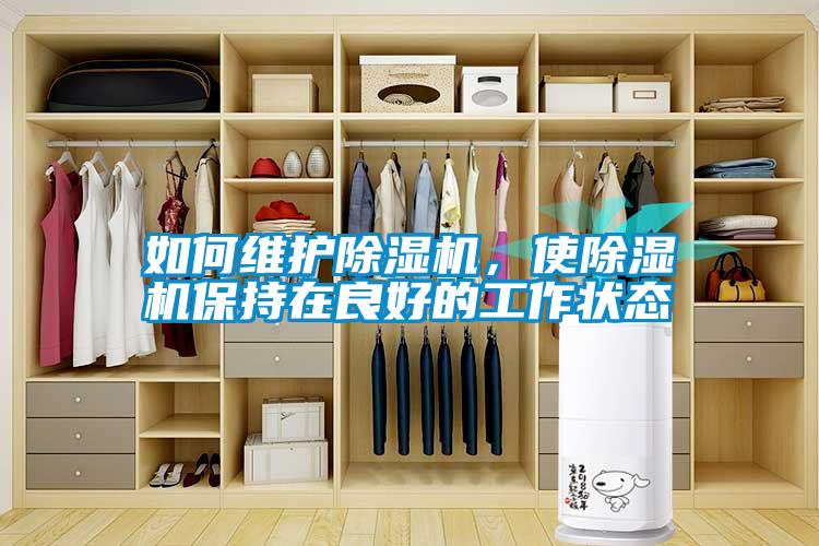 如何維護(hù)除濕機(jī)<div   id=