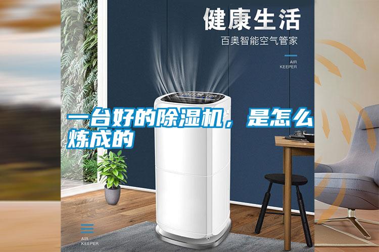 一臺好的除濕機<div   id=