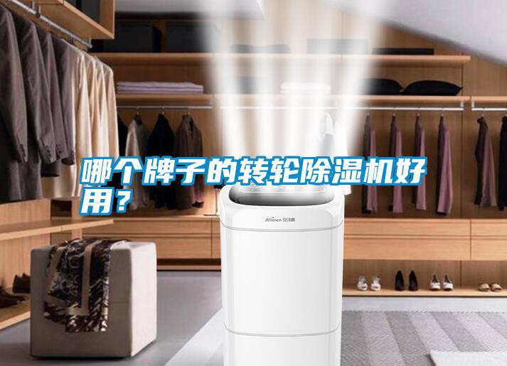 哪個牌子的轉輪除濕機好用<div   id=