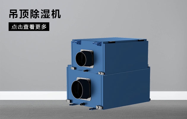 雙十一除濕機<div   id=