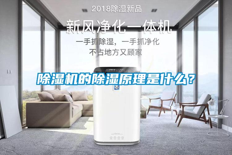 除濕機(jī)的除濕原理是什么<div   id=