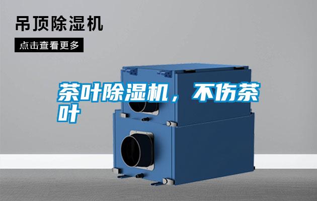 茶葉除濕機(jī)<div   id=