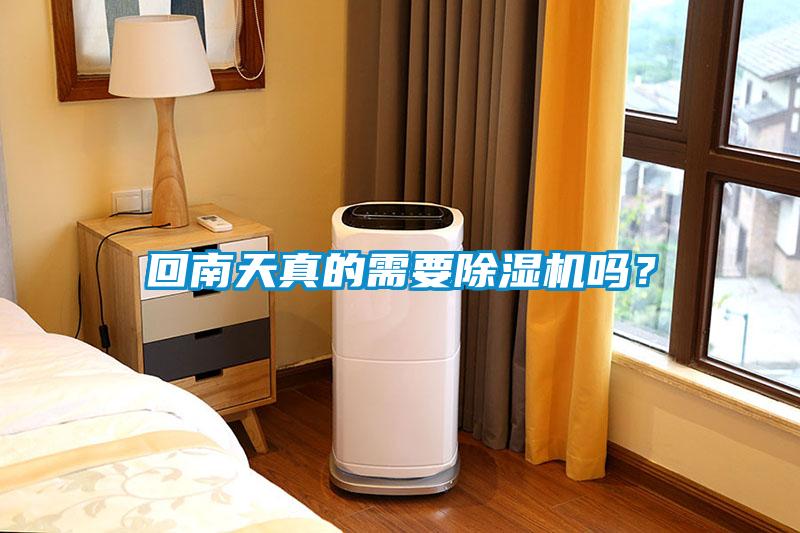 回南天真的需要除濕機嗎<div   id=