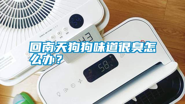 回南天狗狗味道很臭怎么辦<div   id=