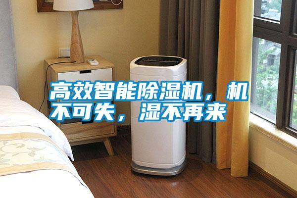 高效智能除濕機(jī)<div   id=