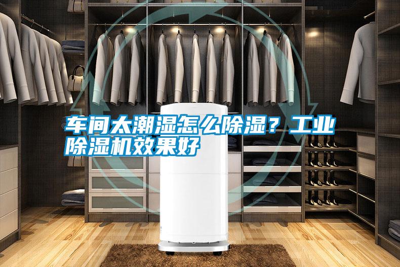車間太潮濕怎么除濕<div   id=