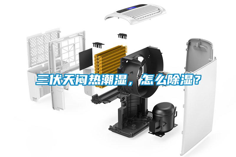 三伏天悶熱潮濕<div   id=