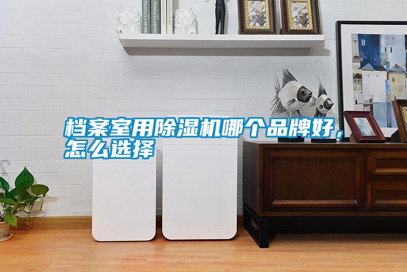 檔案室用除濕機哪個品牌好<div   id=