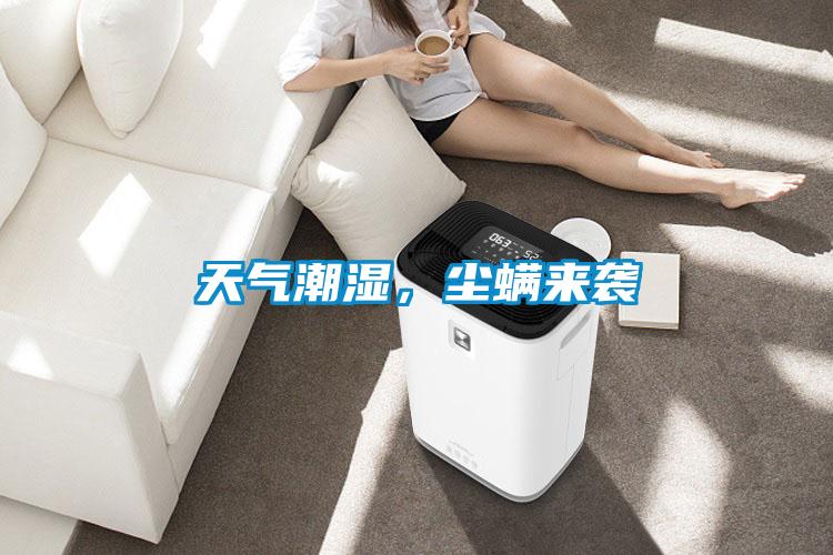 天氣潮濕,塵螨來(lái)襲