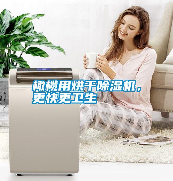 橄欖用烘干除濕機<div   id=