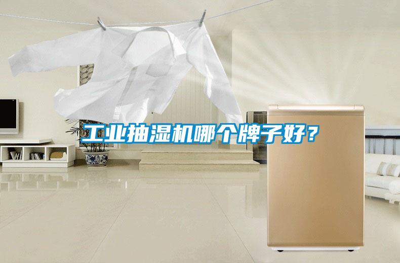 工業(yè)抽濕機(jī)哪個牌子好？