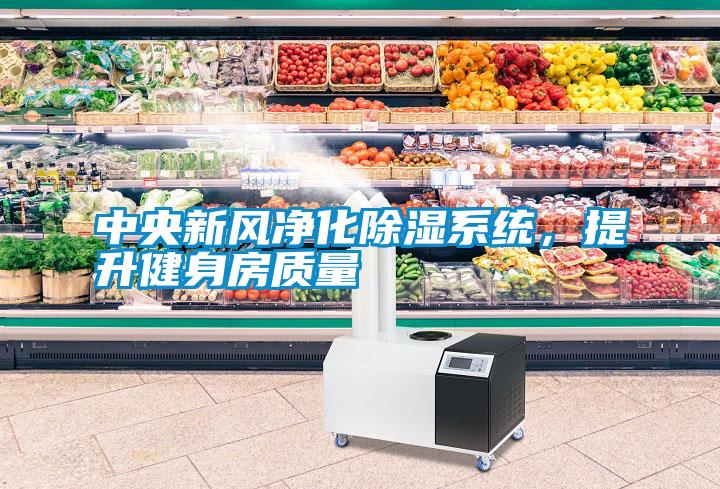 中央新風(fēng)凈化除濕系統(tǒng)<div   id=