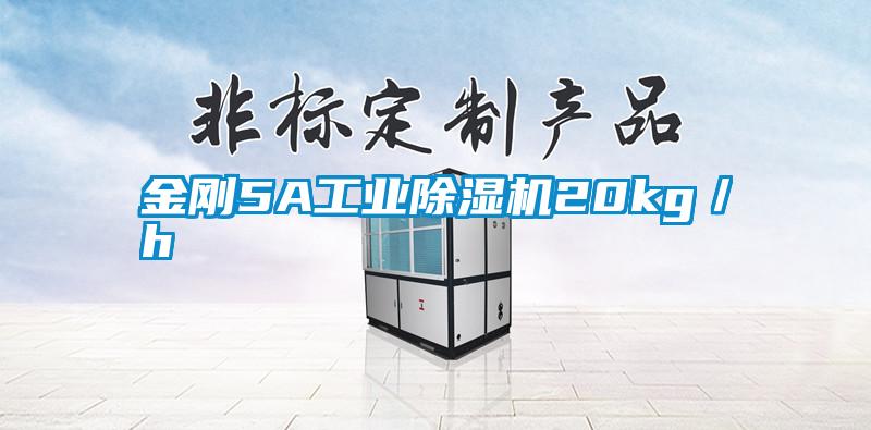 金剛5A工業(yè)除濕機(jī)20kg/h