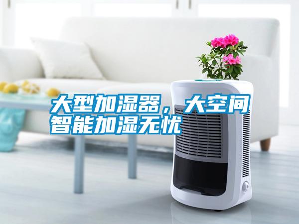 大型加濕器<div   id=