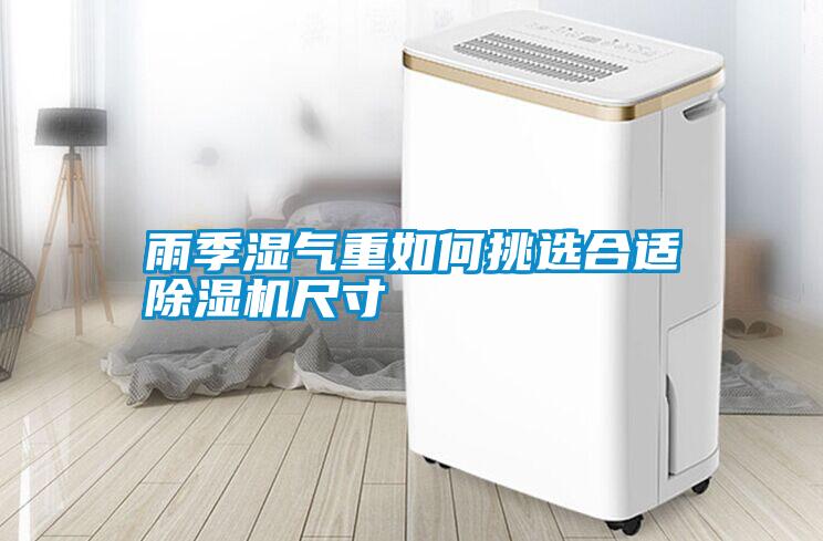 雨季濕氣重如何挑選合適除濕機(jī)尺寸