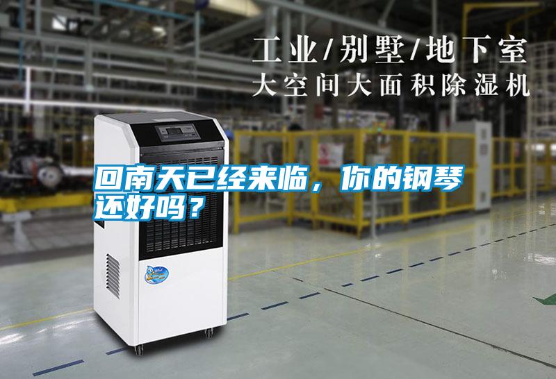 回南天已經(jīng)來臨<div   id=