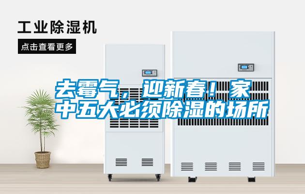 去霉氣<div   id=