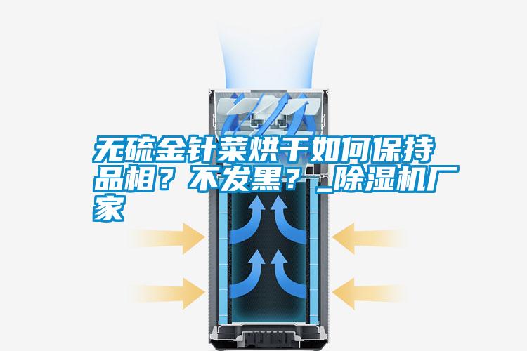 無硫金針菜烘干如何保持品相<div   id=