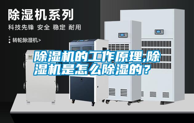 除濕機的工作原理,除濕機是怎么除濕的<div   id=