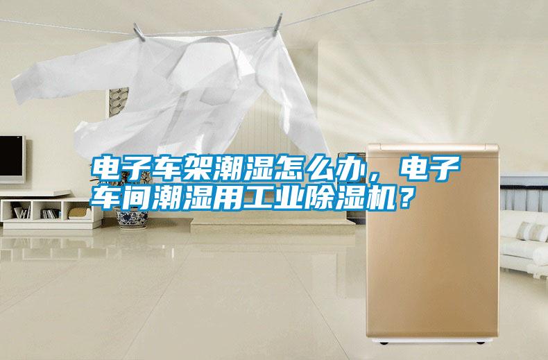 電子車架潮濕怎么辦<div   id=