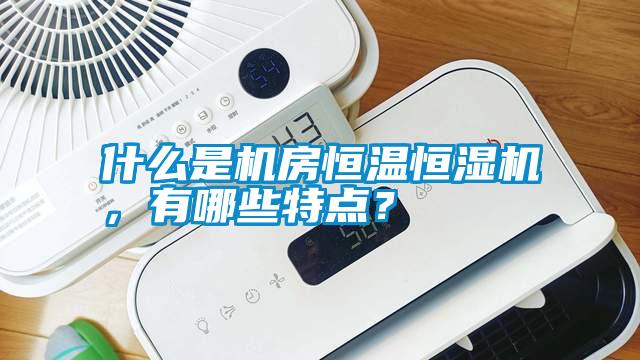 什么是機(jī)房恒溫恒濕機(jī)，有哪些特點(diǎn)<div   id=