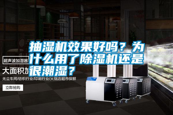 抽濕機(jī)效果好嗎<div   id=