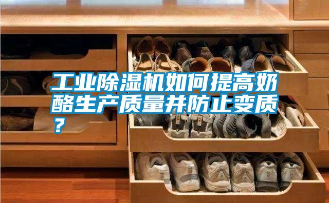 工業(yè)除濕機(jī)如何提高奶酪生產(chǎn)質(zhì)量并防止變質(zhì)<div   id=