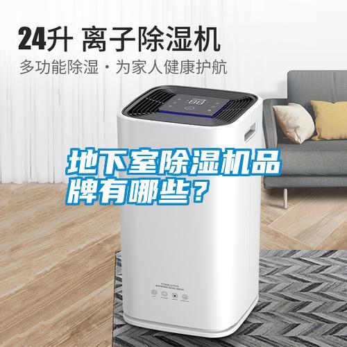 地下室除濕機(jī)品牌有哪些?