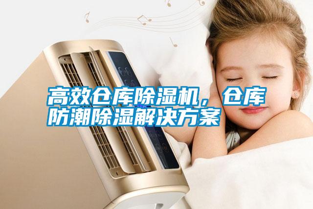 高效倉庫除濕機(jī)<div   id=