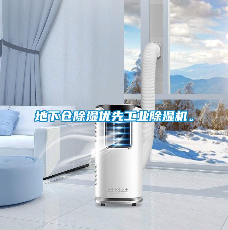 地下倉(cāng)除濕優(yōu)先工業(yè)除濕機(jī)。