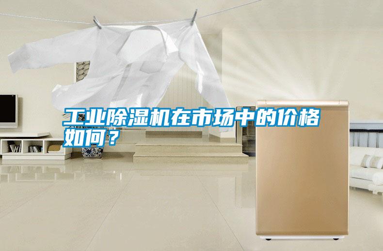 工業(yè)除濕機(jī)在市場(chǎng)中的價(jià)格如何<div   id=