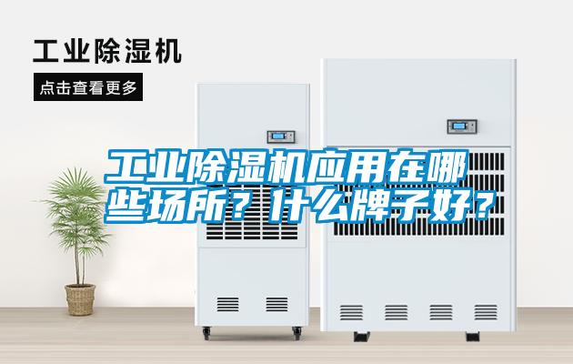 工業(yè)除濕機(jī)應(yīng)用在哪些場(chǎng)所？什么牌子好<div   id=