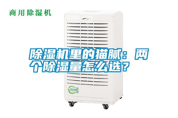 除濕機(jī)里的貓膩：兩個(gè)除濕量怎么選<div   id=