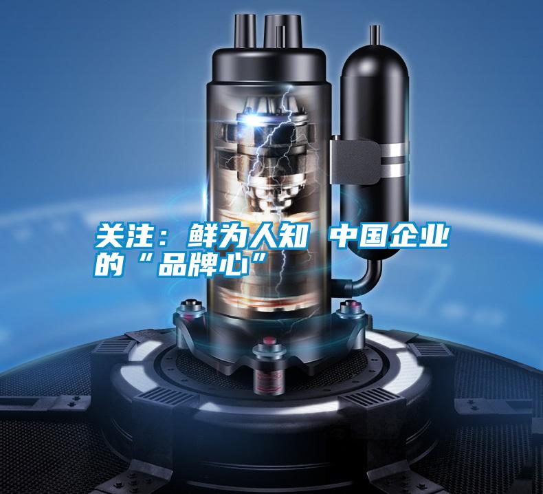關(guān)注:鮮為人知 中國企業(yè)的“品牌心”