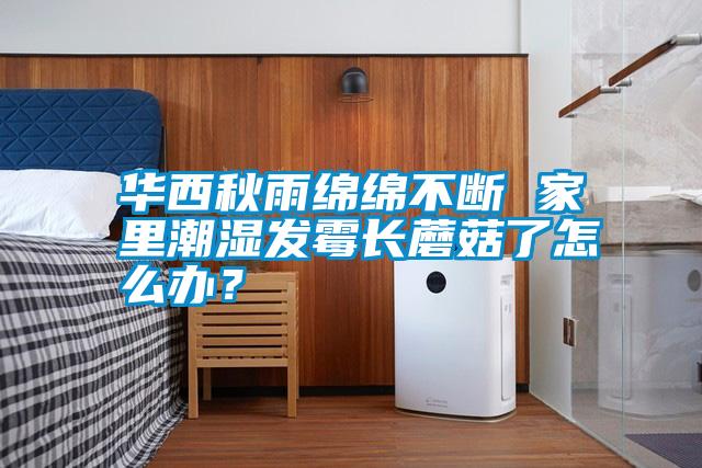 華西秋雨綿綿不斷 家里潮濕發(fā)霉長(zhǎng)蘑菇了怎么辦<div   id=