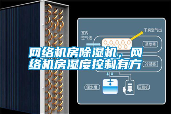 網(wǎng)絡(luò)機(jī)房除濕機(jī)<div   id=